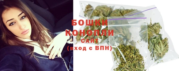 дмт Новокубанск