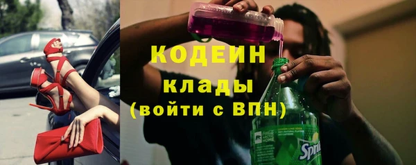 дживик Новодвинск