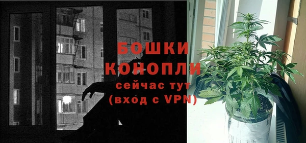 дживик Новодвинск