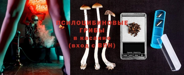 дмт Новокубанск